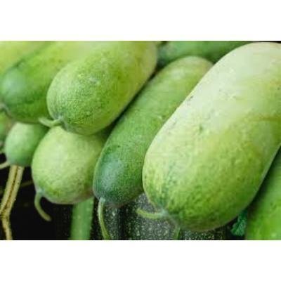 Ash Gourd (250 gm) Delivery up to 15km radius from our location to your destination.