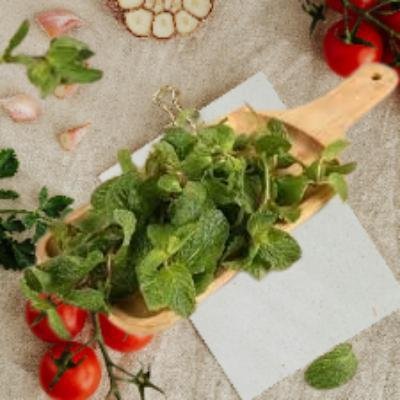 Fresh Mint Leaves (100 gm)Delivery up to 15km radius from our location to your destination.