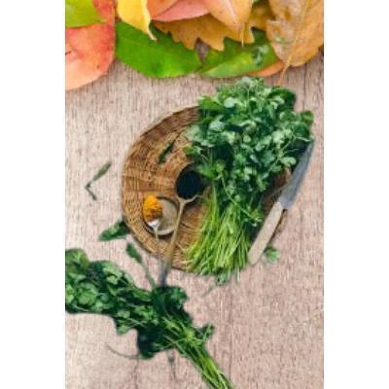 Fresh Coriander Leaves (100 gm)Delivery up to 15km radius from our location to your destination.