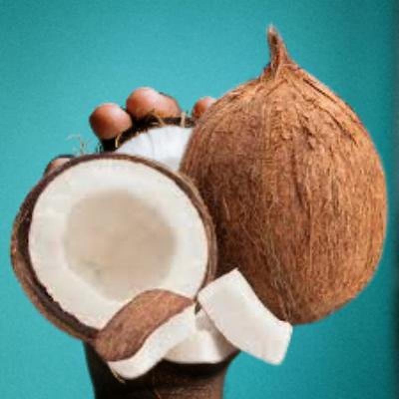Brown Coconut Size:Small(Pack Of 5) Delivery up to 15km radius from our location to your destination.