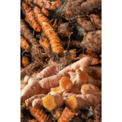 Fresh Turmeric(250 gm) Delivery up to 15km radius from our location to your destination.