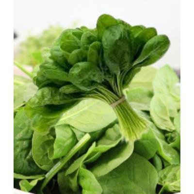 Fresh Spinach (500 gm)Delivery up to 15km radius from our location to your destination.