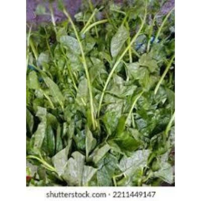 Malabar Spinach (250 gm) Delivery up to 15km radius from our location to your destination.