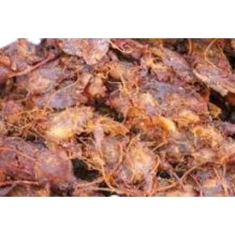 Tarmarind (250 gm) Delivery up to 15km radius from our location to your destination.