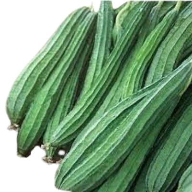 Ridge Gourd (1 kg)Delivery up to 15km radius from our location to your destination.