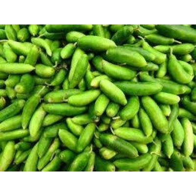 Coccinia (250 gm) Delivery up to 15km radius from our location to your destination.