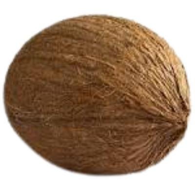 Brown Coconut Size:Small(Pack Of 5) Delivery up to 15km radius from our location to your destination.