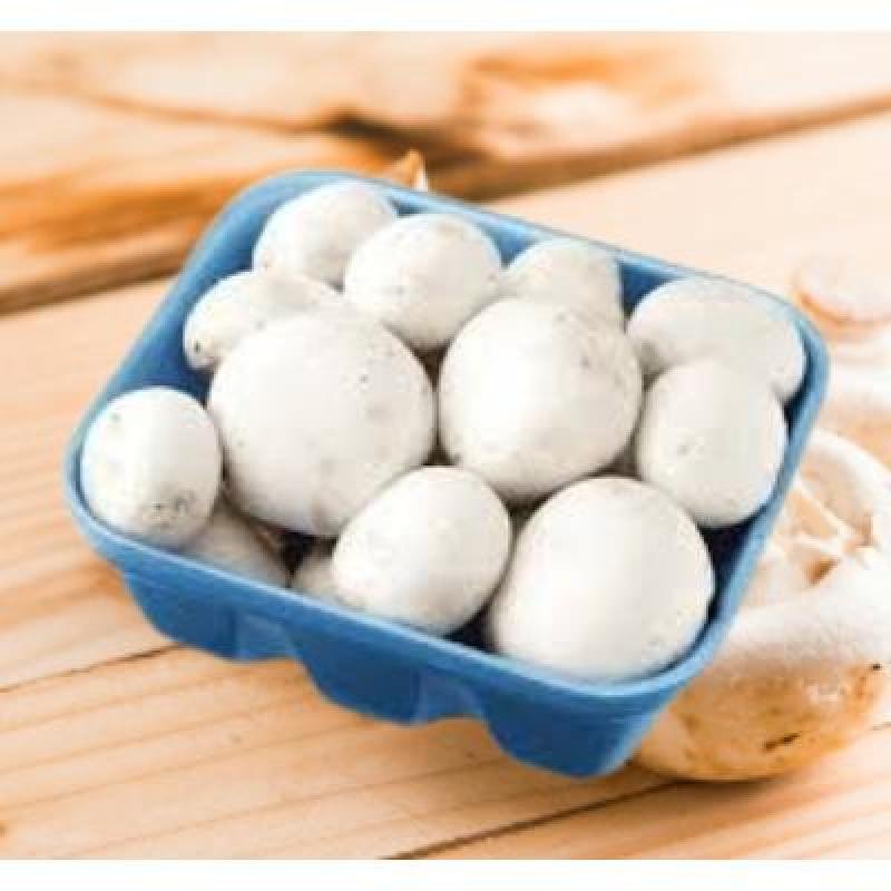 Button Mushroom (200 gm) Delivery up to 15km radius from our location to your destination.