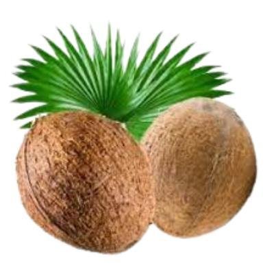 Brown Coconut Size:Small(Pack Of 1) Delivery up to 15km radius from our location to your destination.