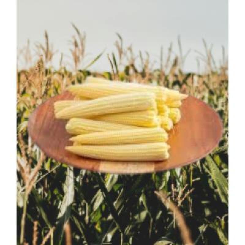 Fresh Baby Corn (250 gm) Delivery up to 15km radius from our location to your destination.