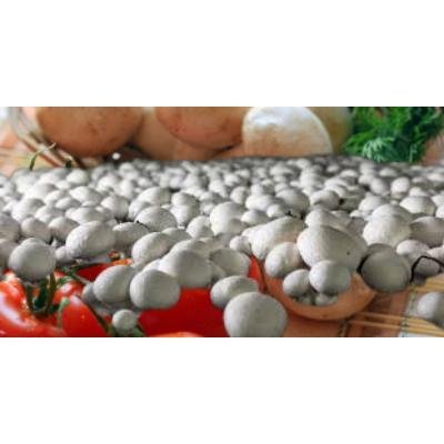 Button Mushroom (200 gm) Delivery up to 15km radius from our location to your destination.