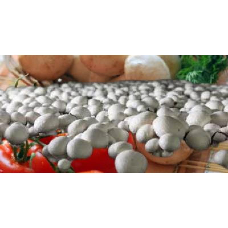 Button Mushroom (200 gm) Delivery up to 15km radius from our location to your destination.