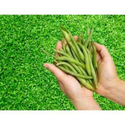 Beans (250 gm)Delivery up to 15km radius from our location to your destination.