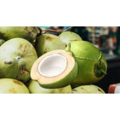 Fresh Green Coconut (1 Piece) Delivery up to 15km radius from our location to your destination.