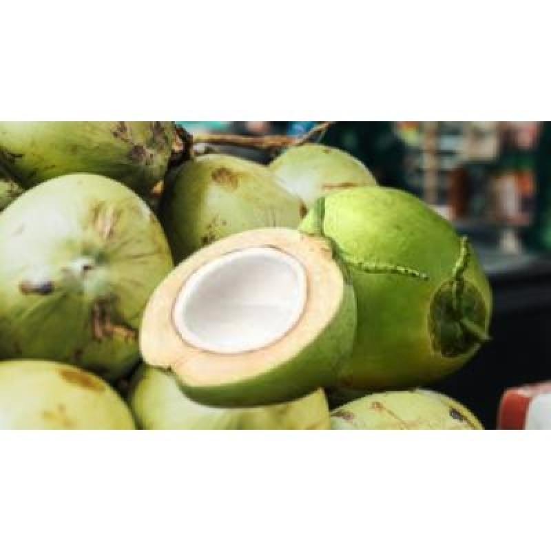 Fresh Green Coconut (1 Piece) Delivery up to 15km radius from our location to your destination.