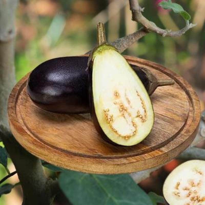 Round Brinjal Purple 250 gm Delivery up to 15km radius from our location to your destination.
