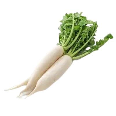 Radish White (1 kg)Delivery up to 15km radius from our location to your destination.