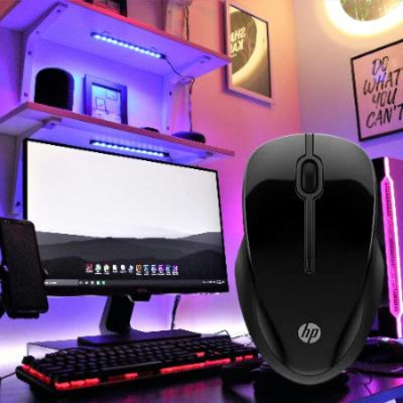 HP 250 Wireless Ambidextrous Optical Mouse(PACK OF 1)