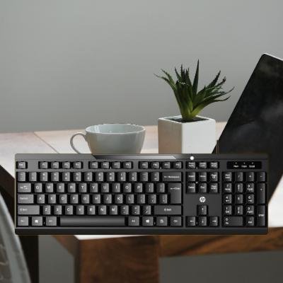 HP K120 Wired Keyboard(PACK OF 1)