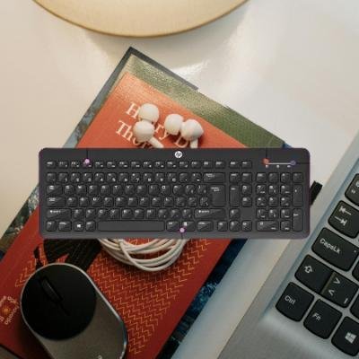 HP K260 Wireless Standard Keyboard(PACK OF 1)