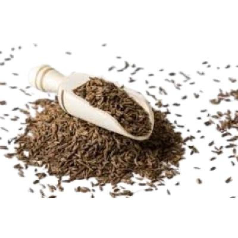 Surya Cumin Powder(Jeera  Powder)50 Gram (PACK OF 1)